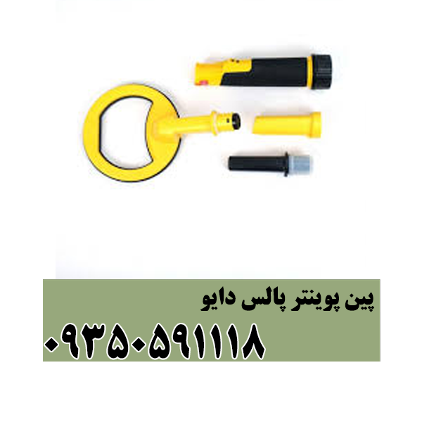 پین پوینتر پالس دایو