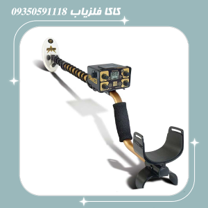 فلزیاب فیشر گلد باگ 2