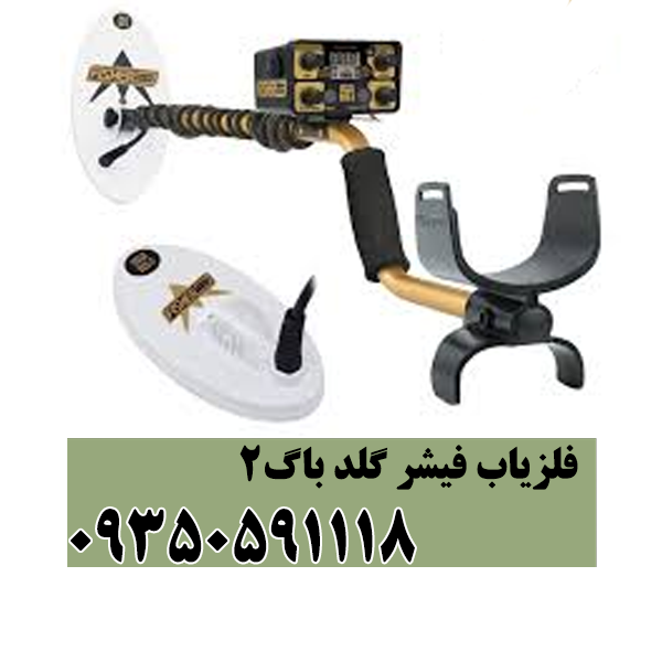 فلزیاب فیشر گلد باگ 2