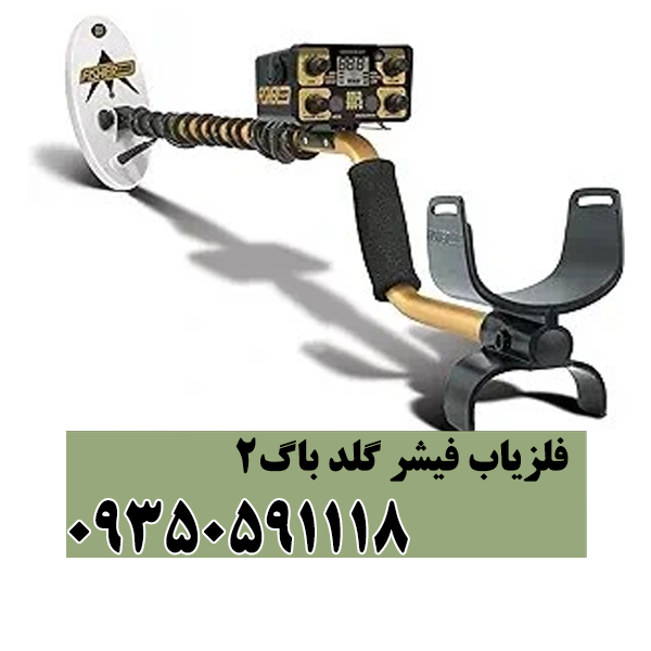 فلزیاب فیشر گلد باگ 2